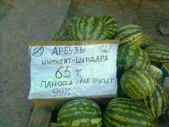 арбузы