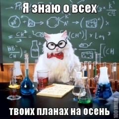 химиг