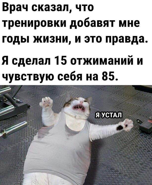 ccc5b39631be9c231314dee514a300a2.jpg